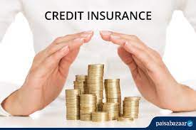 Credit Insurance: Coverage, Claims and Exclusions